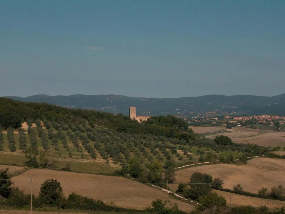 Affittacamere Castello di Grotti Corsano  0*, Corsano (Tuscany) Italia
