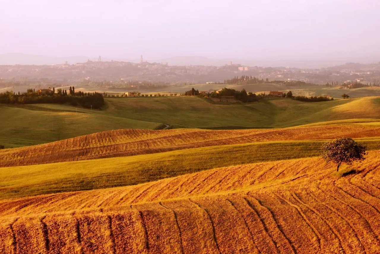 Casa di campagna Affittacamere Castello di Grotti Corsano  Italia