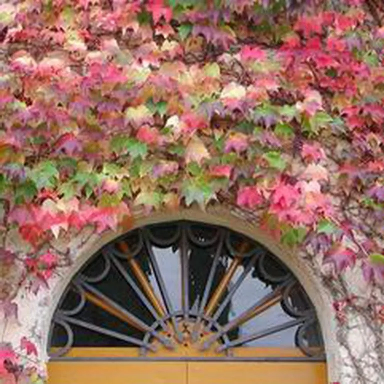 Castello Di Grotti Guest House Corsano  Country house Corsano (Tuscany)